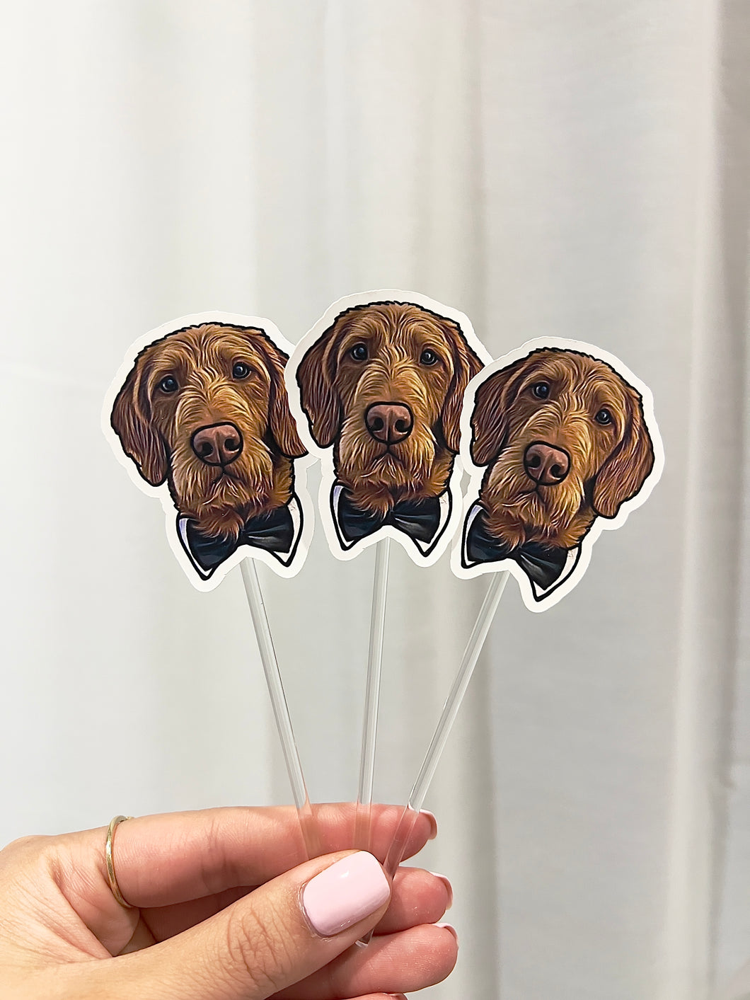 Pet Portrait Cake Toppers