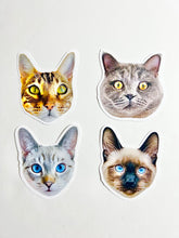 Load image into Gallery viewer, Custom Pet Stickers (Colour)
