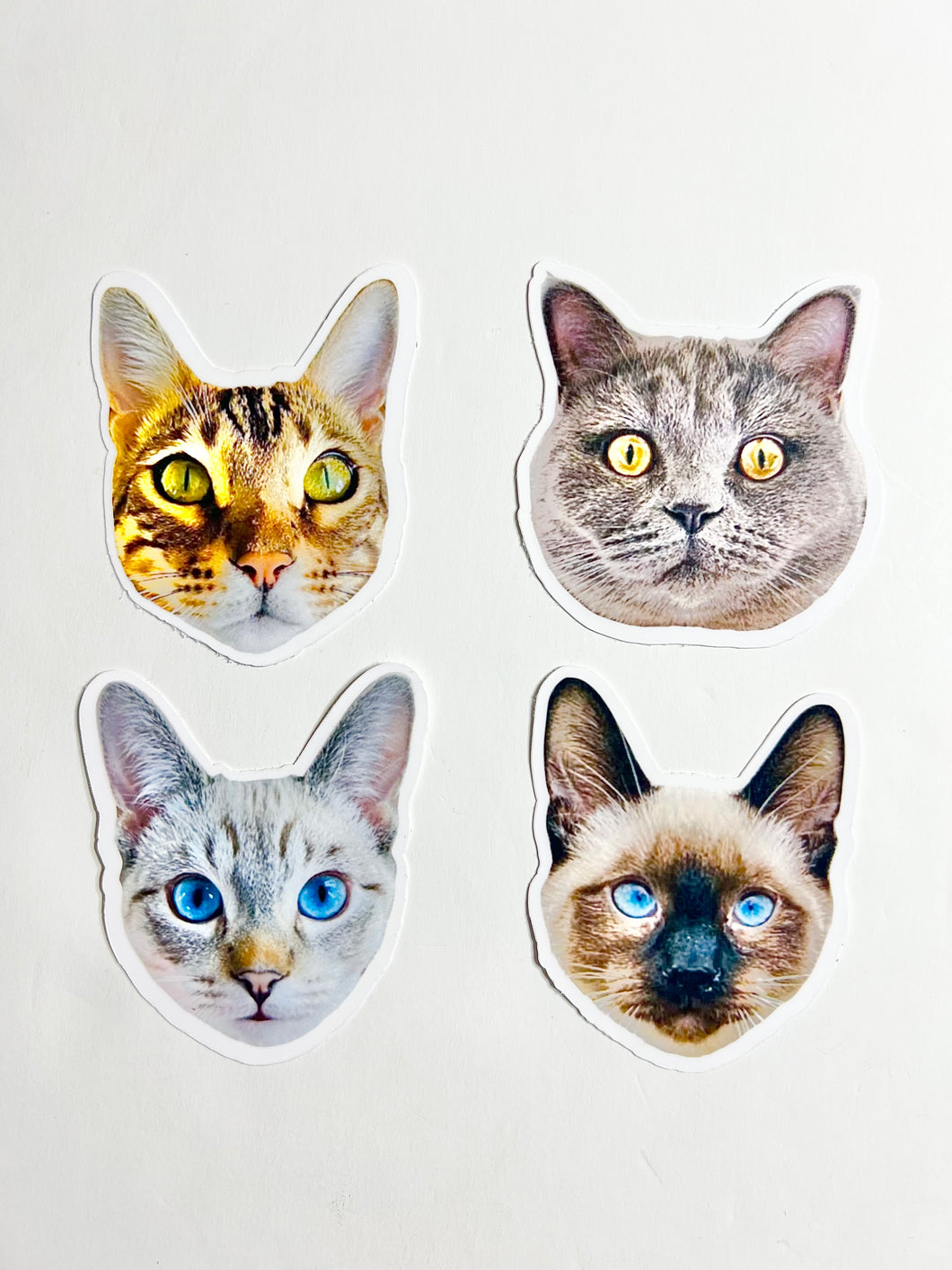 Custom Pet Stickers (Colour)