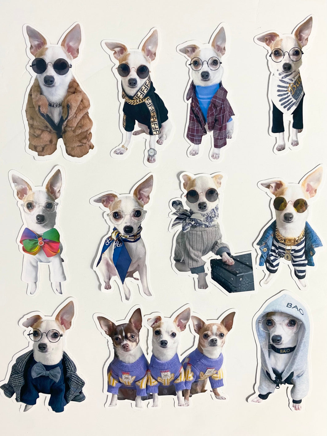 Pet Portrait Stickers (Full Body)