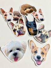 Load image into Gallery viewer, Custom Pet Stickers (Colour)
