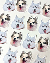 Load image into Gallery viewer, Custom Pet Stickers (Colour)
